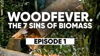 Woodfever 1 The role of Politics